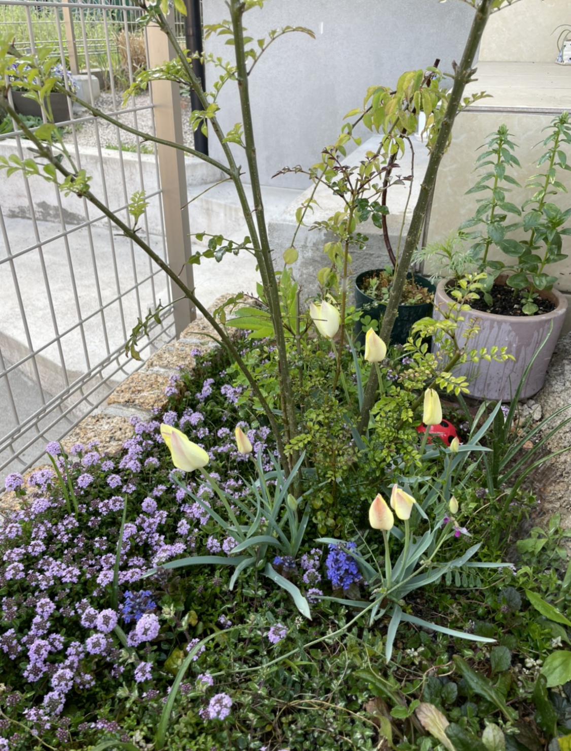 季節を感じる花壇